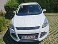 Ford Kuga Kuga 2,0 TDCi Trend Trend Weiß - thumbnail 2