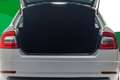 Skoda Octavia 1.6TDI CR Ambition Bianco - thumbnail 7