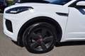 Jaguar E-Pace 2.0D 180CH R-DYNAMIC AWD BVA9 Weiß - thumbnail 19