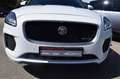 Jaguar E-Pace 2.0D 180CH R-DYNAMIC AWD BVA9 Weiß - thumbnail 7
