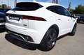 Jaguar E-Pace 2.0D 180CH R-DYNAMIC AWD BVA9 Weiß - thumbnail 9