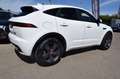 Jaguar E-Pace 2.0D 180CH R-DYNAMIC AWD BVA9 Weiß - thumbnail 10