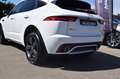 Jaguar E-Pace 2.0D 180CH R-DYNAMIC AWD BVA9 Weiß - thumbnail 6