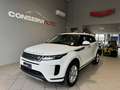 Land Rover Range Rover Evoque AUTOCARRO Evoque 2.0d Dynamic S awd TAGLIANDI UF - thumbnail 1