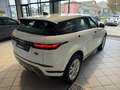 Land Rover Range Rover Evoque AUTOCARRO Evoque 2.0d Dynamic S awd TAGLIANDI UF - thumbnail 7