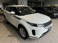 Land Rover Range Rover Evoque AUTOCARRO Evoque 2.0d Dynamic S awd TAGLIANDI UF - thumbnail 4
