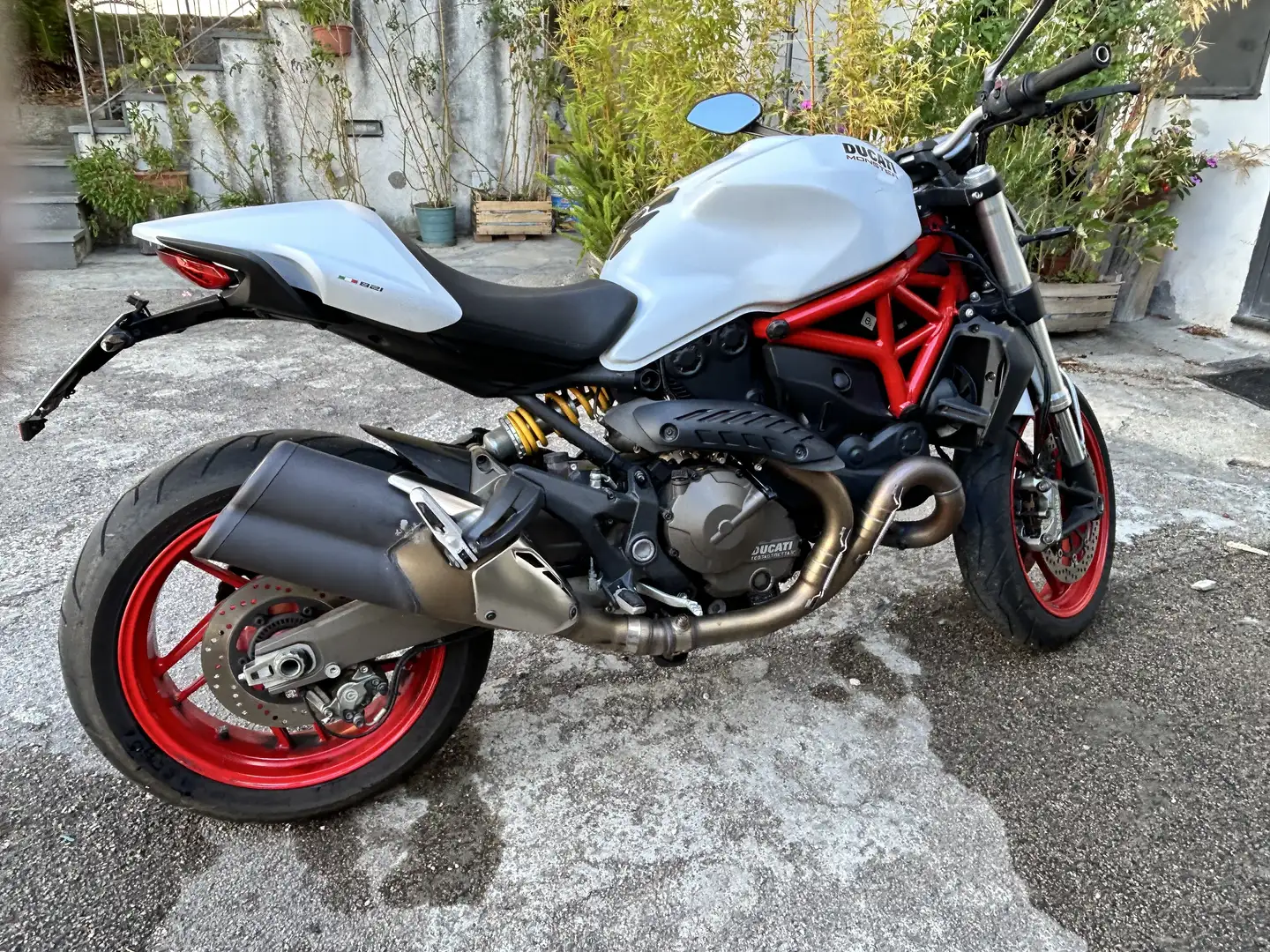 Ducati Monster 821 Pearl White - 1