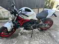 Ducati Monster 821 Pearl White - thumbnail 7