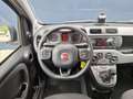 Fiat Panda 1.0 70pk Hybrid City Cross | Airco | BlueTooth | D Grijs - thumbnail 15