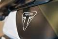 Triumph Tiger 900 RALLY PRO Grün - thumbnail 20