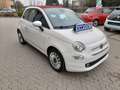 Fiat 500 1.2 Lounge Cabrio Білий - thumbnail 4