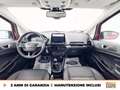Ford EcoSport 1.0 ecoboost active s&s 125cv Rouge - thumbnail 10