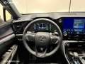 Lexus NX 300h 450h+ F Sport 4WD Rouge - thumbnail 10