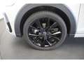 Volkswagen Taigo 1.0 TSI DSG R-Line Pano/ACC/Rückkam Grau - thumbnail 12