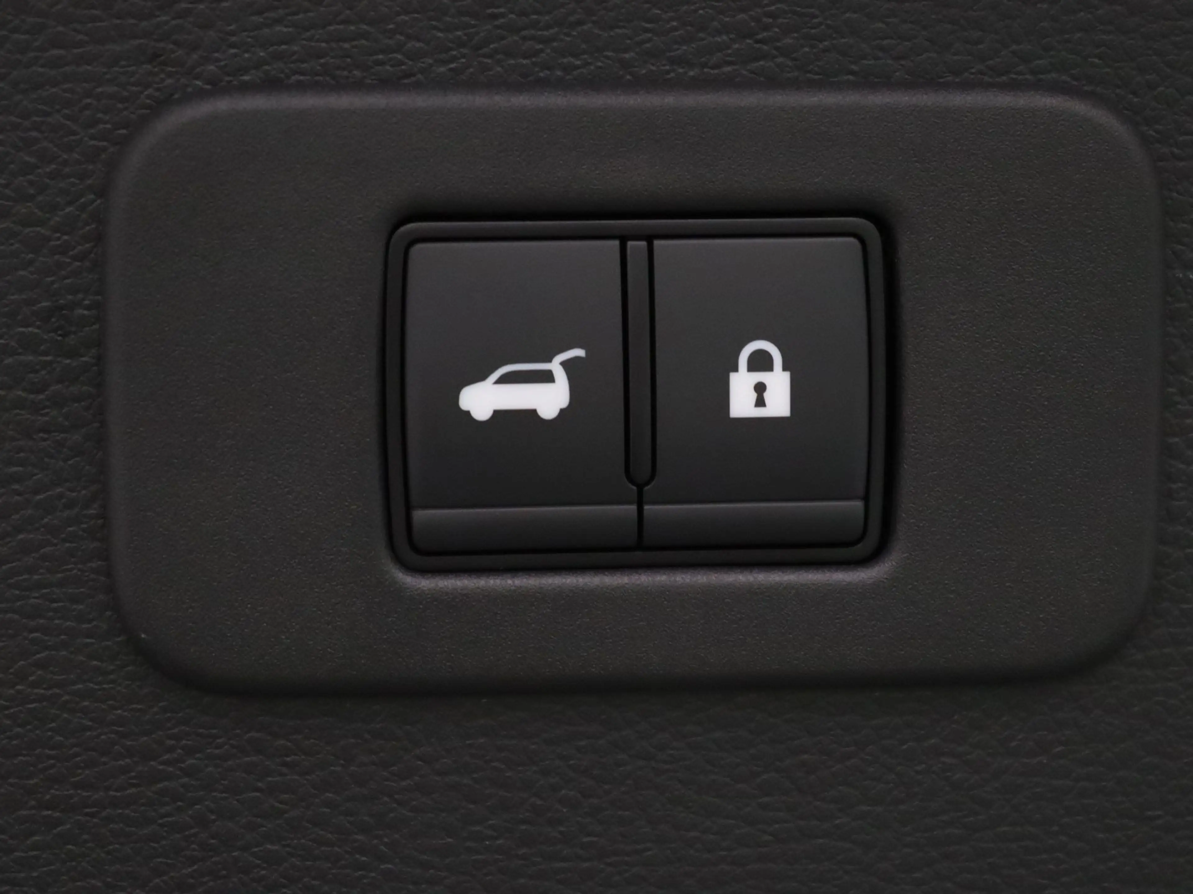 Nissan Leaf Evolve 75 kWh Apple Carplay/Android Auto | Panoram — photo 33