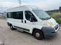 Citroen Jumper *Handicap*9 Sitzer*Behinderten Rampe Weiß - thumbnail 4