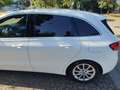 Mercedes-Benz B 180 Classe B - W247 2018 d Sport Plus auto Weiß - thumbnail 7