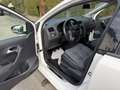 Volkswagen Polo Plus VW Polo 6R for sale - thumbnail 10