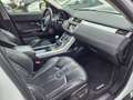 Land Rover Range Rover Evoque 2.2 eD4 2WD Pure Navi Cam Blanco - thumbnail 14
