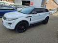 Land Rover Range Rover Evoque 2.2 eD4 2WD Pure Navi Cam Blanco - thumbnail 4