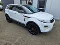 Land Rover Range Rover Evoque 2.2 eD4 2WD Pure Navi Cam Blanco - thumbnail 3