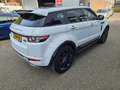 Land Rover Range Rover Evoque 2.2 eD4 2WD Pure Navi Cam Blanco - thumbnail 10