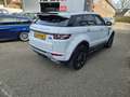 Land Rover Range Rover Evoque 2.2 eD4 2WD Pure Navi Cam Weiß - thumbnail 7