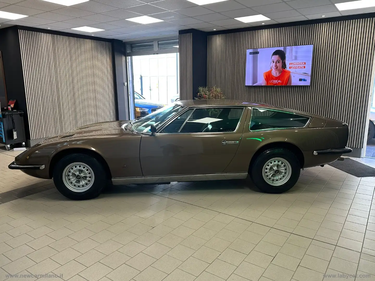 Maserati Indy INDY AM116 Brown - 1
