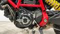 Ducati Scrambler 800 2020 DESERT SLED Bianco - thumbnail 4