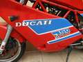 Ducati 750 Sport Bastlerfahrzeug zum Wiederbeleben Rojo - thumbnail 23