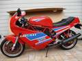 Ducati 750 Sport Bastlerfahrzeug zum Wiederbeleben Rojo - thumbnail 2