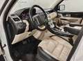 Land Rover Range Rover Sport 3.0 tdV6 Autobiography auto White - thumbnail 12