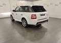 Land Rover Range Rover Sport 3.0 tdV6 Autobiography auto White - thumbnail 4