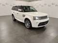 Land Rover Range Rover Sport 3.0 tdV6 Autobiography auto White - thumbnail 8