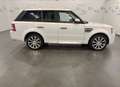 Land Rover Range Rover Sport 3.0 tdV6 Autobiography auto White - thumbnail 7