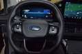 Ford Tourneo Custom Plug-in Hybrid 340 L1 Tourneo Titanium X FWD Grau - thumbnail 19