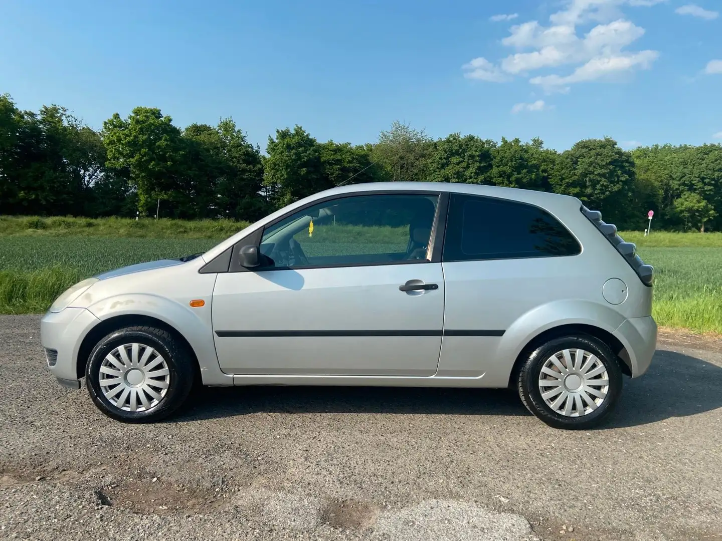 Ford Fiesta Viva X 1.3 Klima Allwetterreifen Argintiu - 2