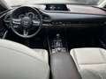 Mazda CX-30 SKYACTIV-X 186 Selection AWD Gri - thumbnail 9