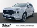 Hyundai SANTA FE Seven Signature Navi Leder Soundsystem Weiß - thumbnail 1