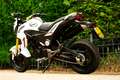 Honda MONKEY | GROME | NIPPONIA TREMOR125 Blanc - thumbnail 5