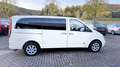 Mercedes-Benz Viano VIANO*111*CDI*LANG*LEDER*KLIMA*9-SITZER*ALU* Beige - thumbnail 4