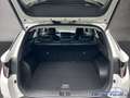 Hyundai TUCSON Trend Hybrid AT 2WD Navi  LED ACC El. Heckklappe Weiß - thumbnail 10