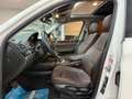 BMW X3 TETTO APRIBILE!! xdrive20d xLine auto 258cv Bianco - thumbnail 8