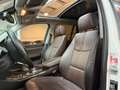 BMW X3 TETTO APRIBILE!! xdrive20d xLine auto 258cv Bianco - thumbnail 7