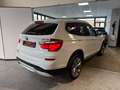 BMW X3 TETTO APRIBILE!! xdrive20d xLine auto 258cv Bianco - thumbnail 6