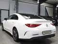 Mercedes-Benz CLS 220 d COUPE AMG-LINE SPORT WHITE / SCHIEBED. White - thumbnail 10