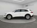 Audi Q5 SUV TDI quattro 220 kW S tronic NEUBESTELLUNG Weiß - thumbnail 4