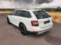 Skoda Octavia Scout Combi 2.0 TDI DSG 4x4,Bi-Xenon,Nav Weiß - thumbnail 5