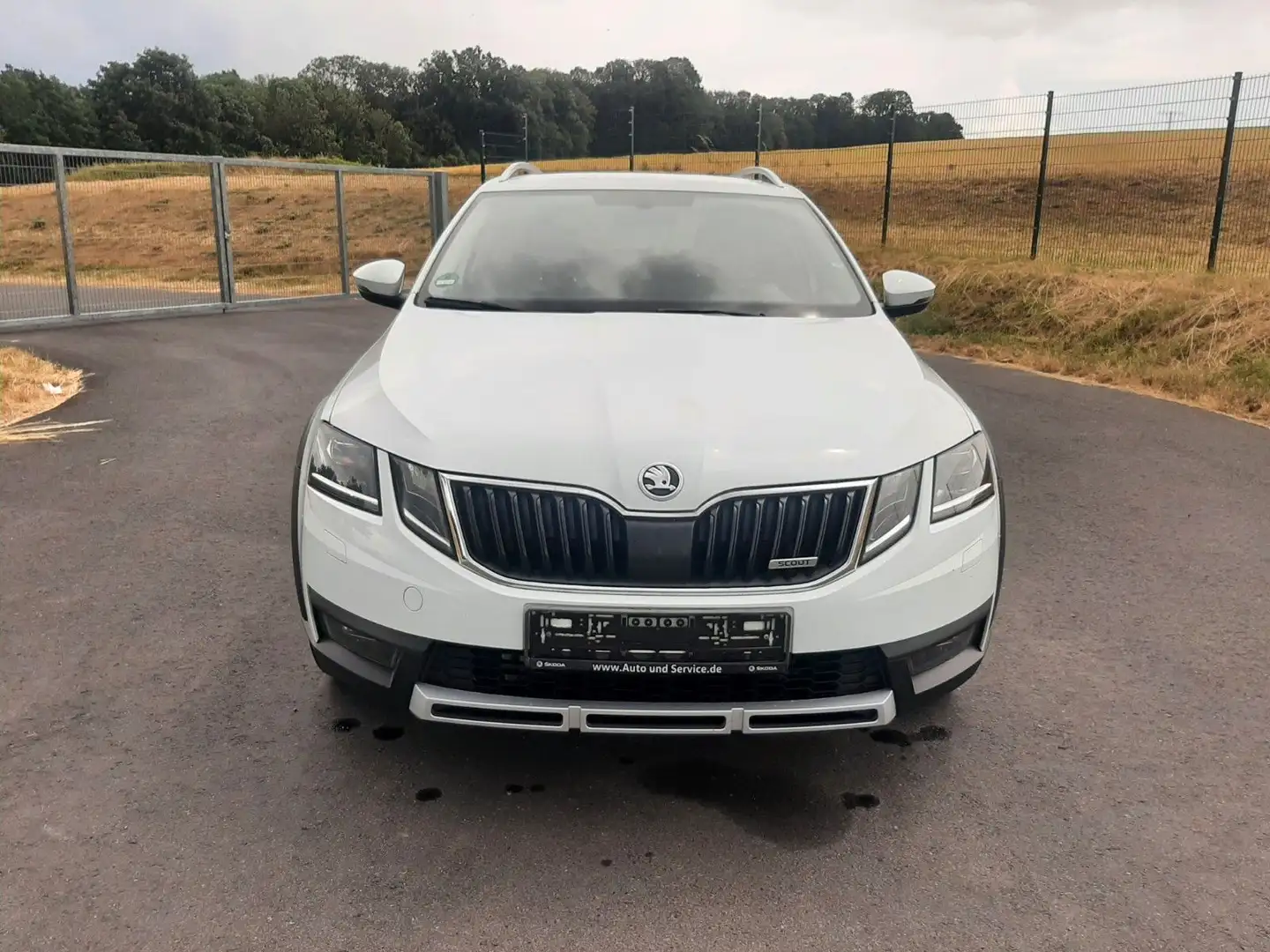 Skoda Octavia Scout Combi 2.0 TDI DSG 4x4,Bi-Xenon,Nav Weiß - 2
