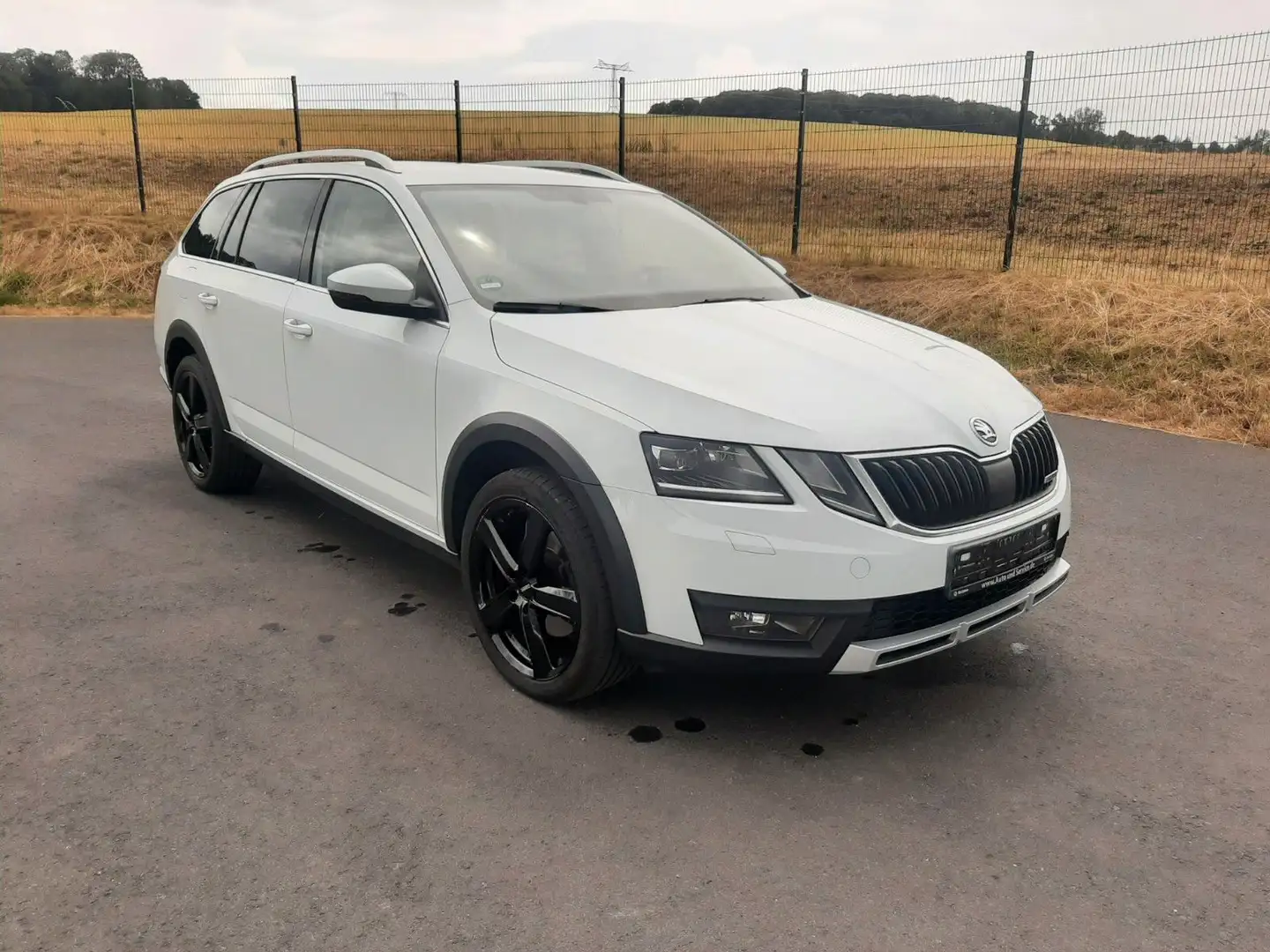Skoda Octavia Scout Combi 2.0 TDI DSG 4x4,Bi-Xenon,Nav Weiß - 1